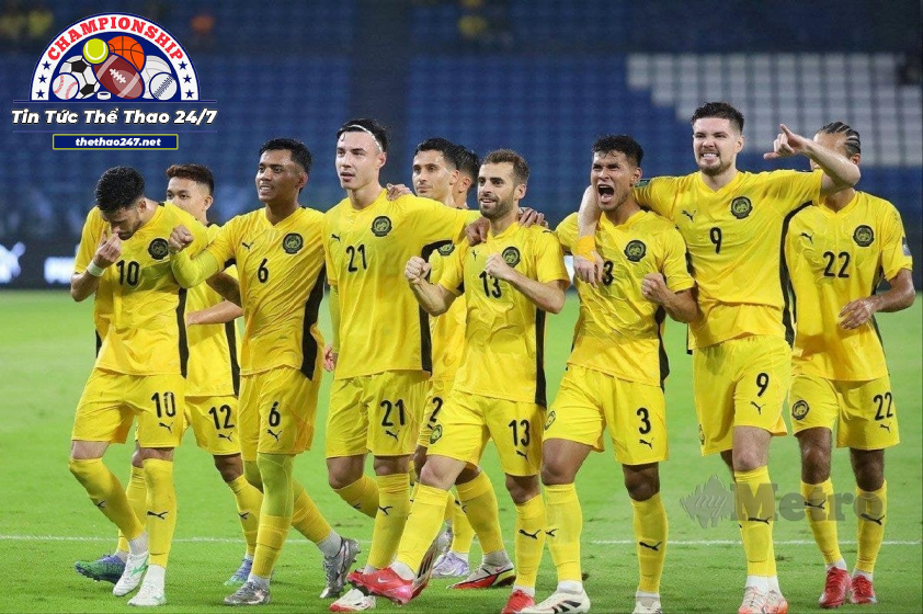 Chuyên Gia Malaysia Đánh Giá Khả Năng Của Đội Tuyển Bóng Đá Việt Nam